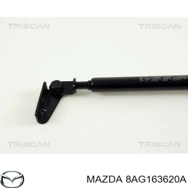 8AG163620A Mazda