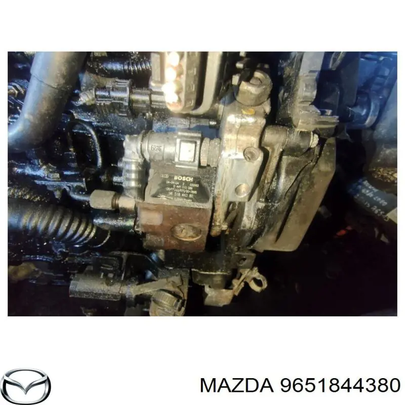 Насос топливный высокого давления Peugeot/Citroen 1920FZ