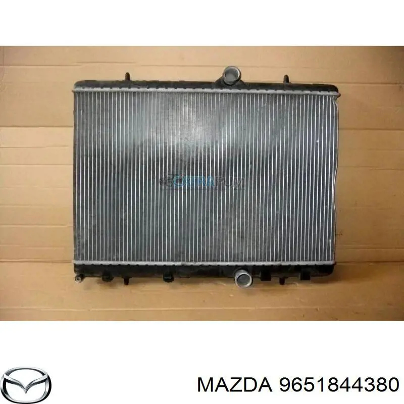Насос топливный высокого давления (ТНВД) Mazda Y60113800A9A цена, от 51.02 USD