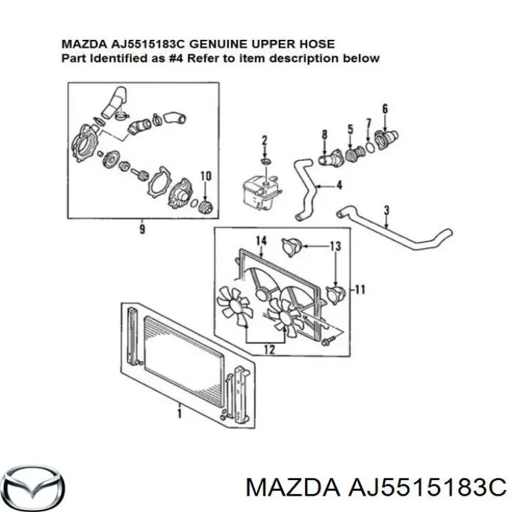 Шланг (патрубок) радиатора охлаждения верхний Mazda MPV 2 LW