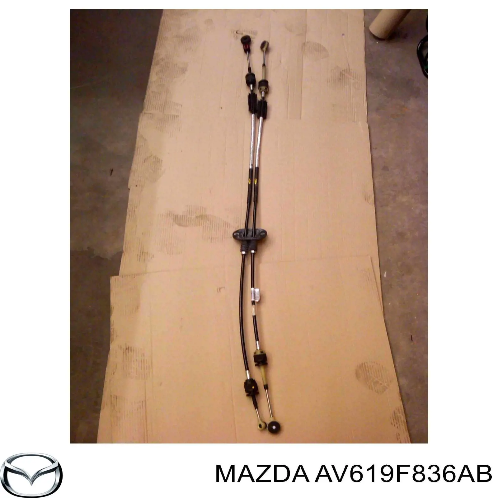  AV619F836AB Mazda