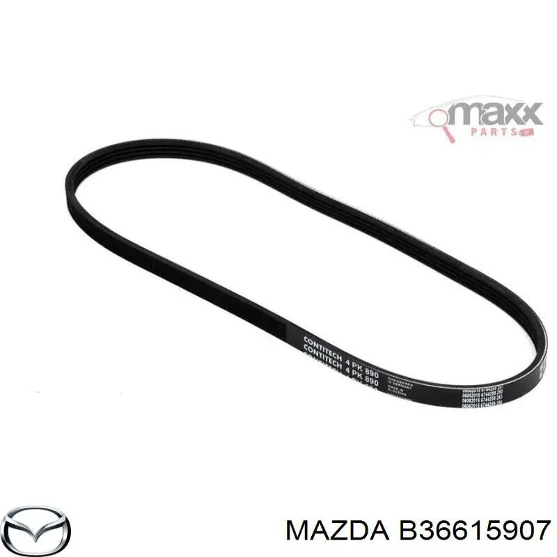 B36615907 Mazda Поликлиновый ремень