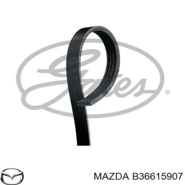 Купить B36615907 Mazda Ремень генератора
