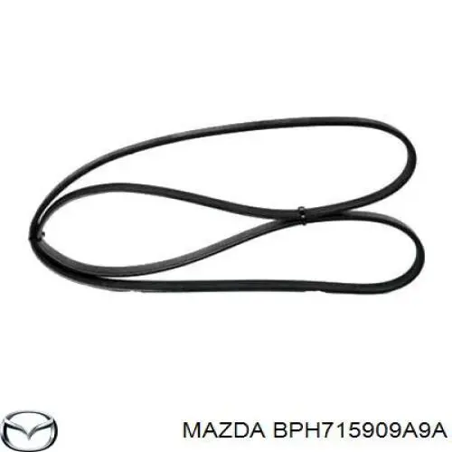 Correa trapezoidal BPH715909A9A Mazda