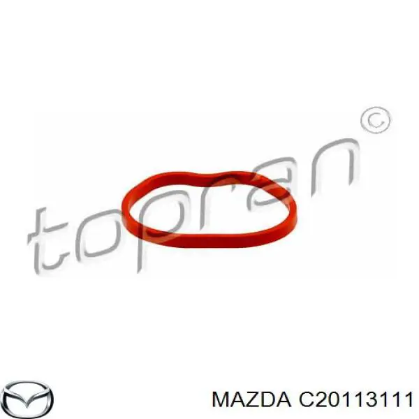 Купить C20113111 Mazda Прокладка впускного коллектора