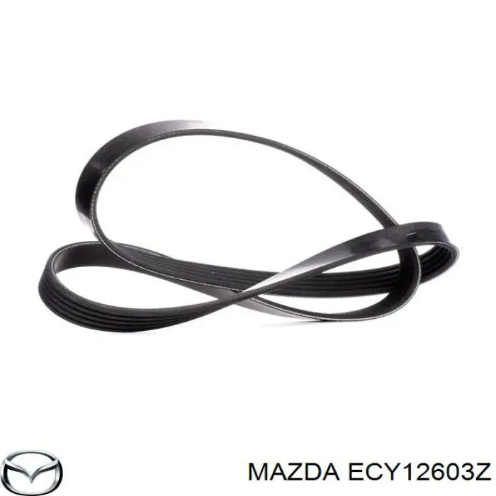 ECY12603Z Mazda ремкомплект тормозного цилиндра заднего