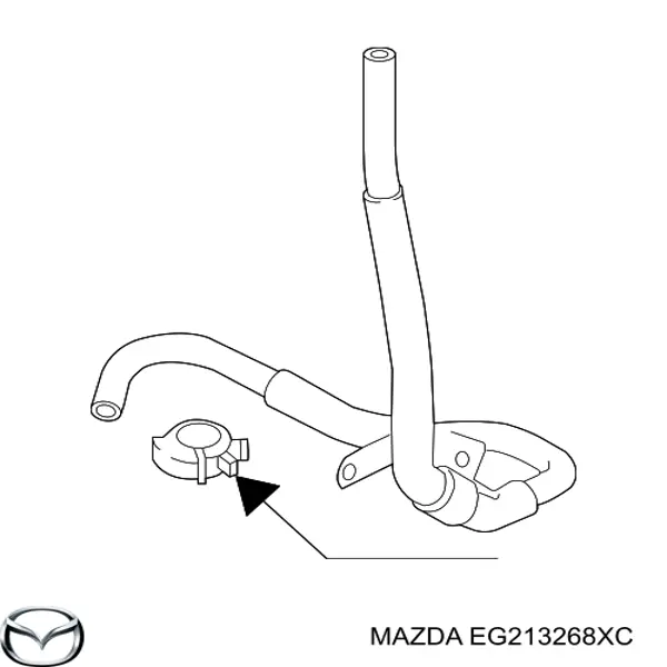 EG213268XC Mazda 