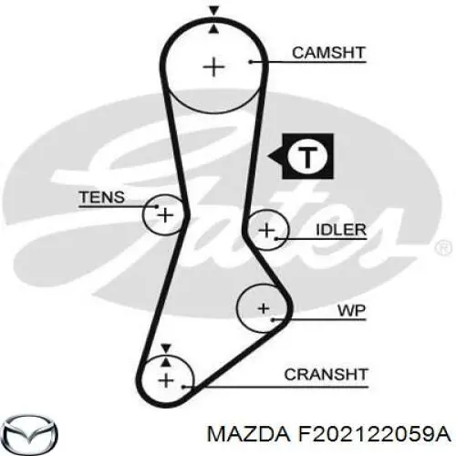 Correa de distribución F202122059A Mazda