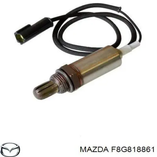 F8G818861 Mazda