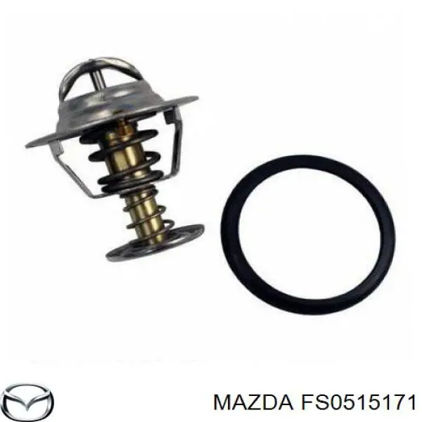 FS05-15-171 Mazda термостат