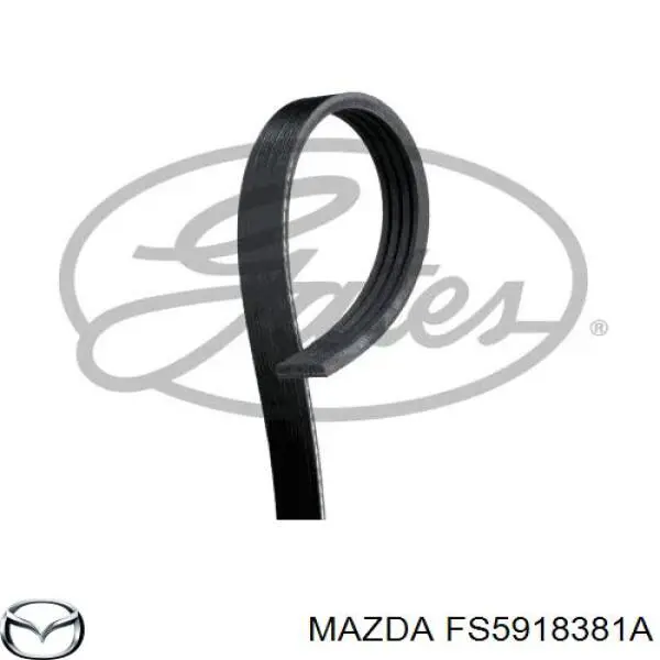 Ремень генератора FS5918381A Mazda