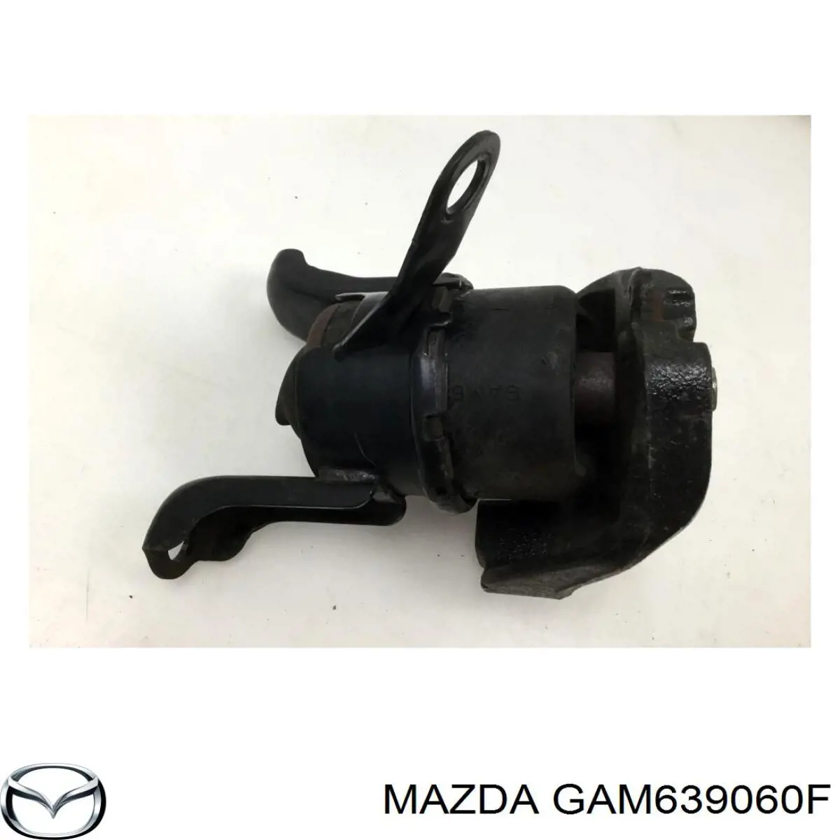 GAM639060F Mazda coxim (suporte direito de motor)