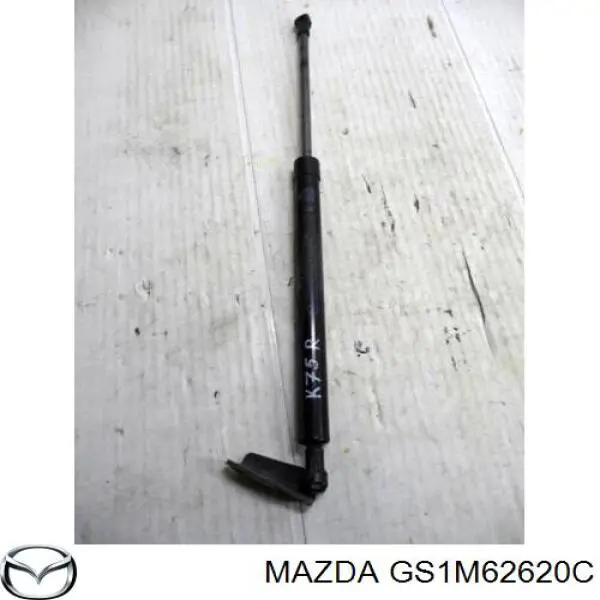 GS1M62620C Mazda amortecedor de tampa de porta-malas (de 3ª/5ª porta traseira)