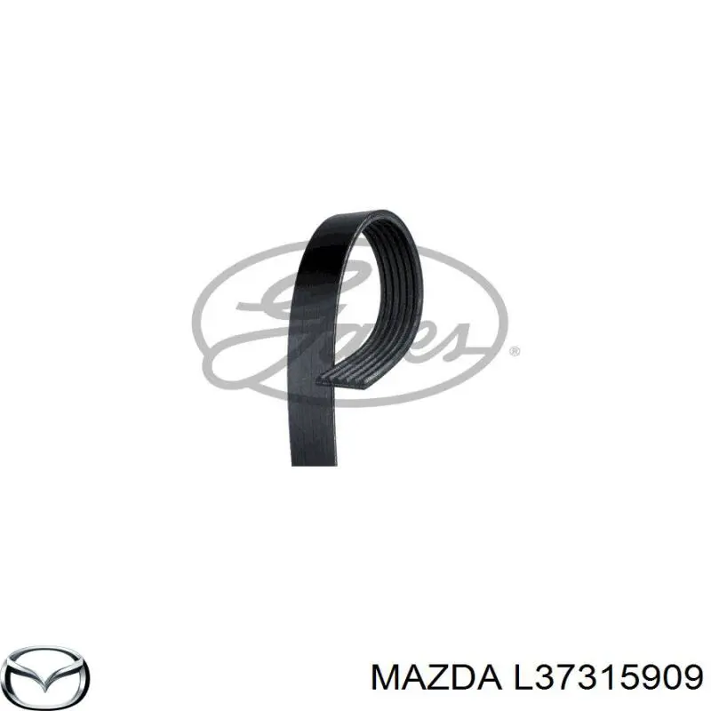 Клиновый ремень Mazda L37315909 цена, от 13.39 USD