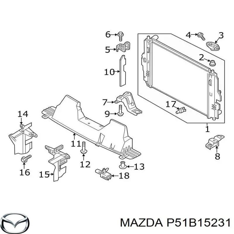 P51B15231 Mazda 