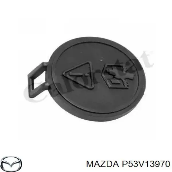 P53V13970 Mazda Абсорбер топливных паров