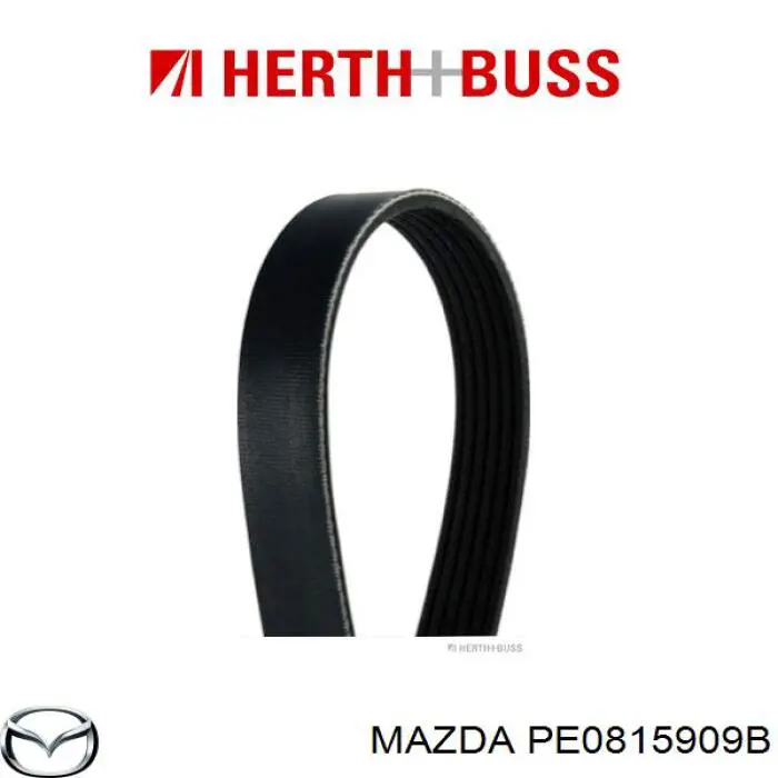 Ремень генератора PE0815909B Mazda