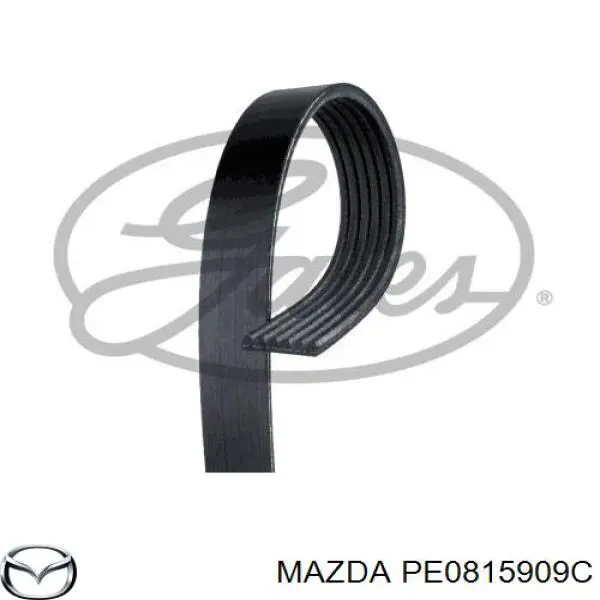 PE0815909C Mazda correia dos conjuntos de transmissão