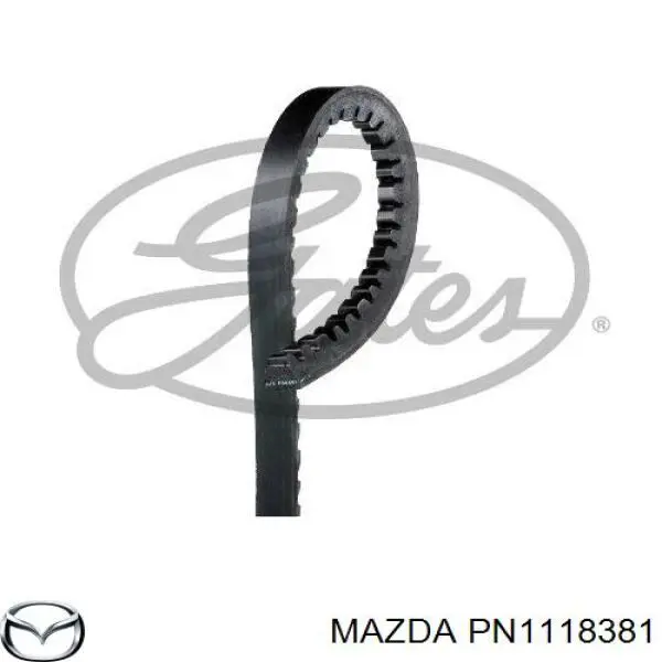 Correa trapezoidal PN1118381 Mazda