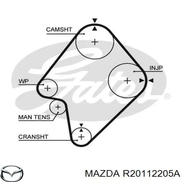 Ремень ГРМ Mazda R20112205A