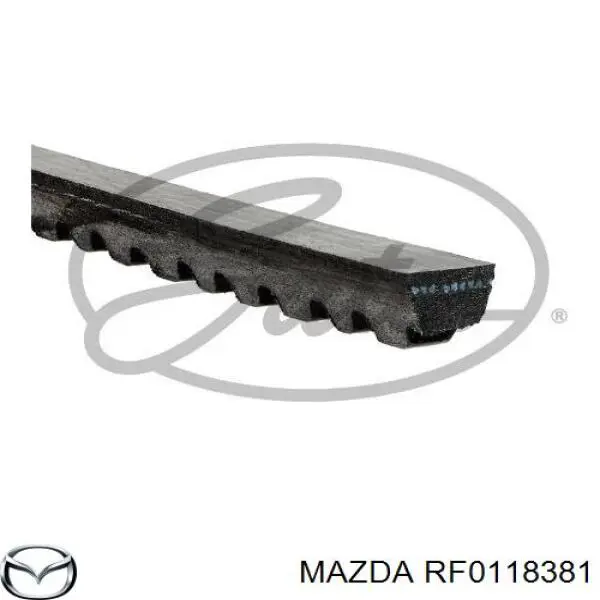 Correa trapezoidal RF0118381 Mazda