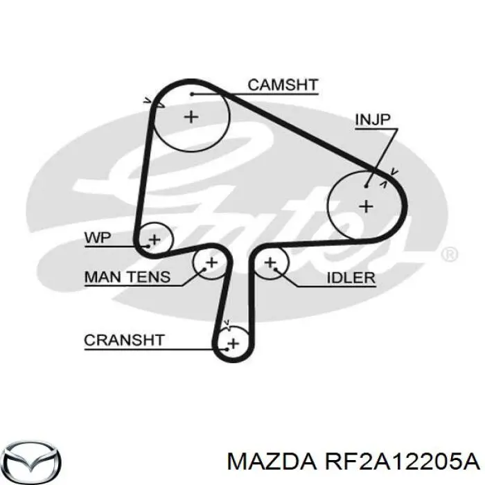 Correa distribucion RF2A12205A Mazda