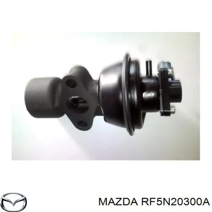  RF5N20300A Mazda