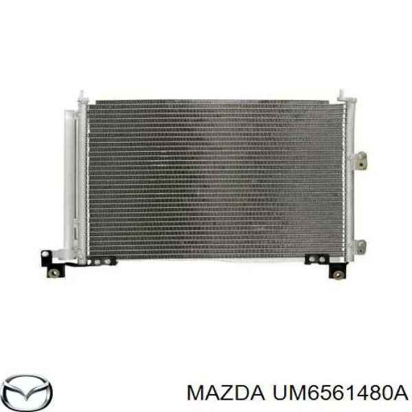 UM6561480A Mazda