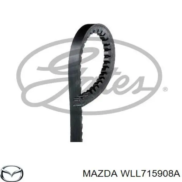 WLL715908A Mazda ремень генератора