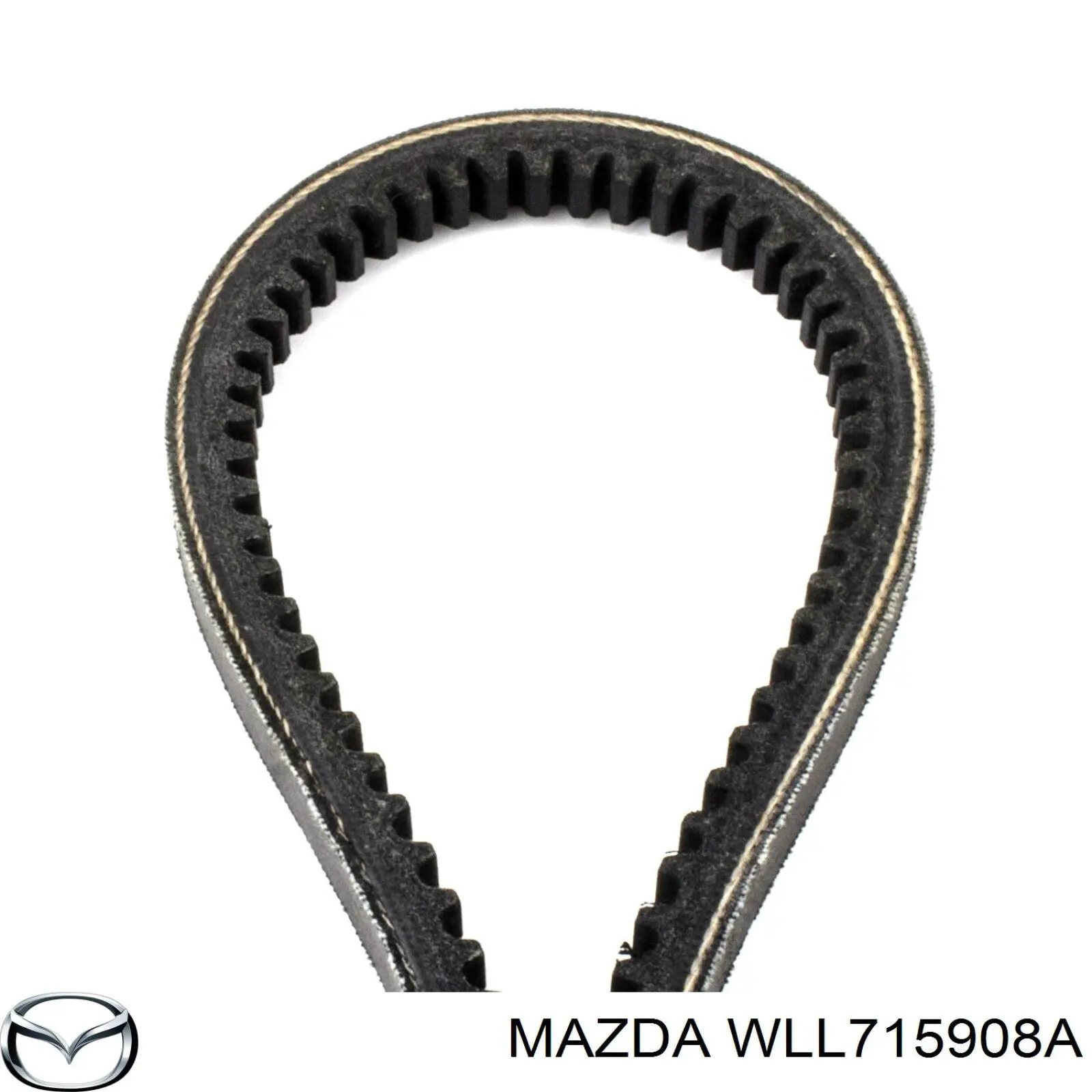 Correa trapezoidal WLL715908A Mazda