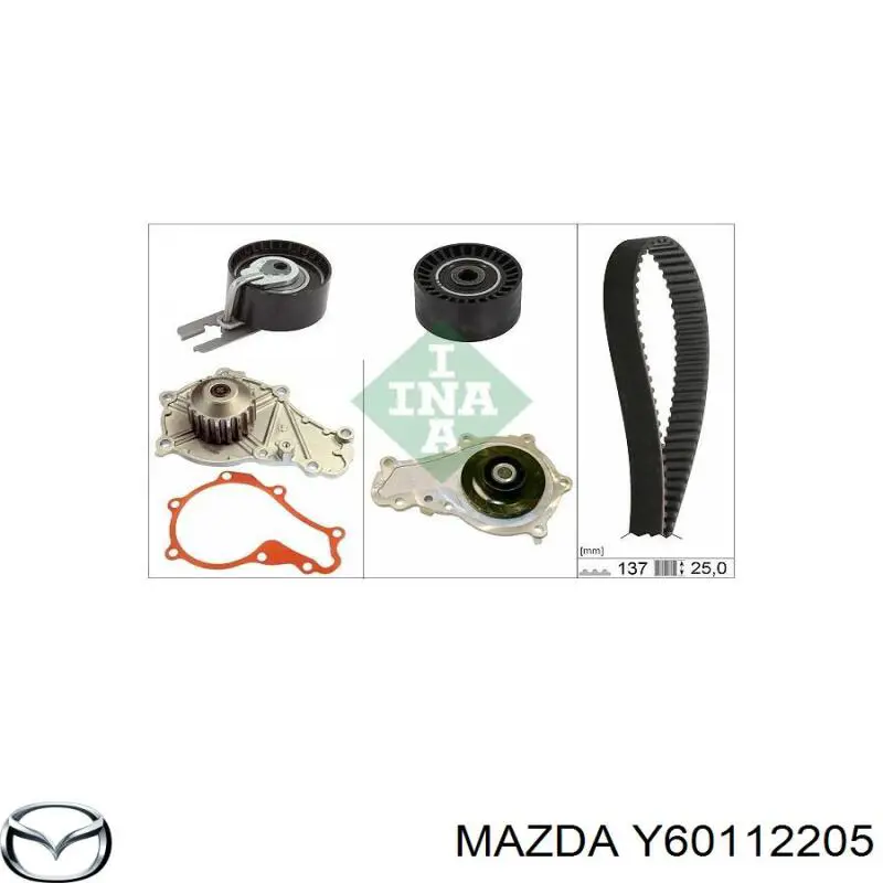 Correa distribucion Y60112205 Mazda