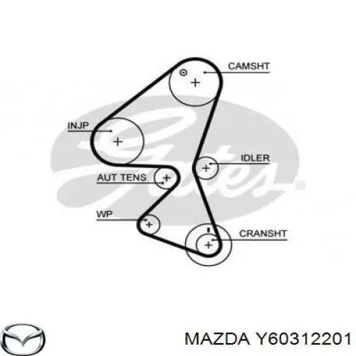 Correa distribucion Y60312201 Mazda