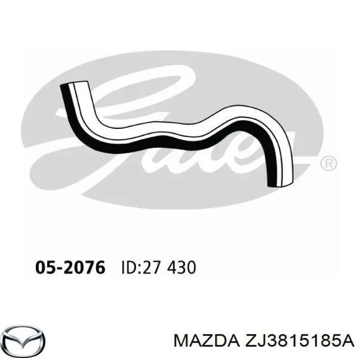 ZJ3815185A Mazda Патрубок радиатора охлаждения нижний