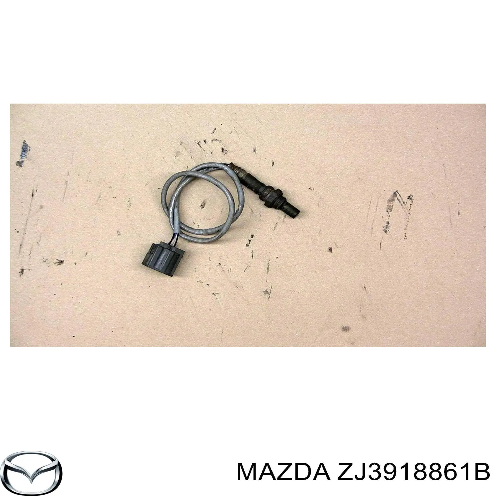 ZJ3918861B Mazda