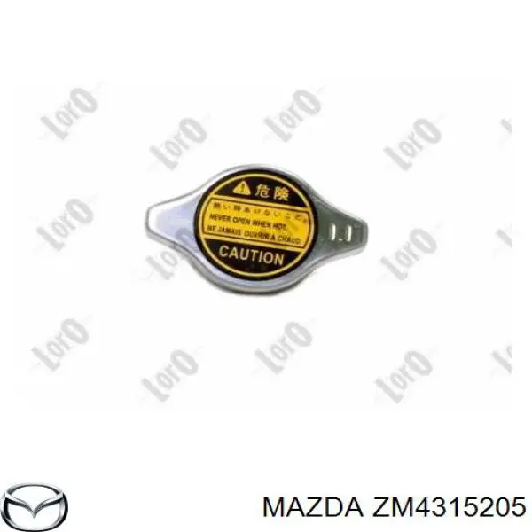 ZM4315205 Mazda 
