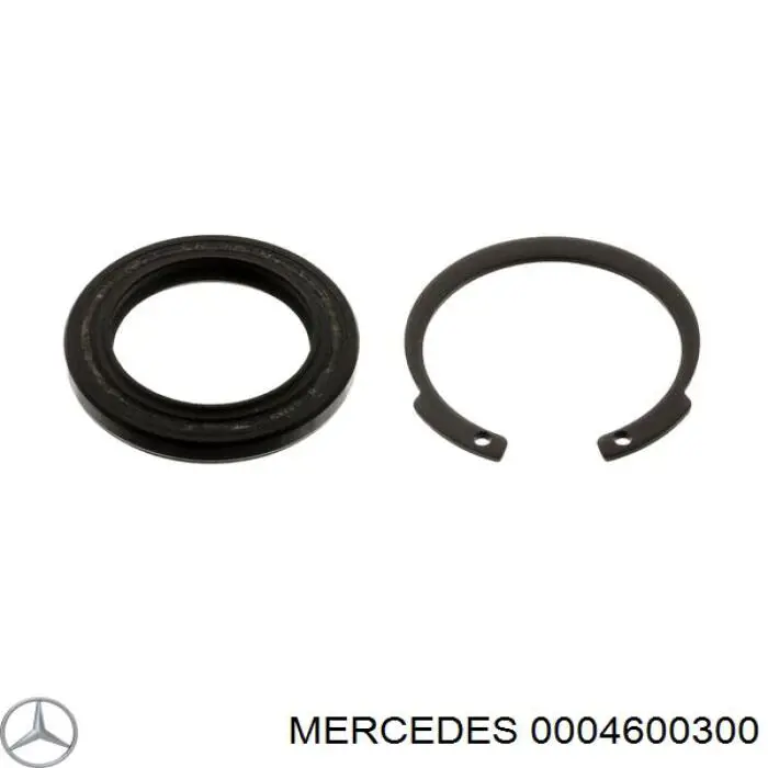 0004600300 Mercedes сальник рулевого механизма, ремкомплект