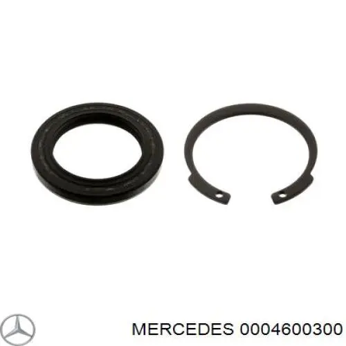 Сальник рулевого механизма, ремкомплект Mercedes 0004600300 цена, от 5.16 USD