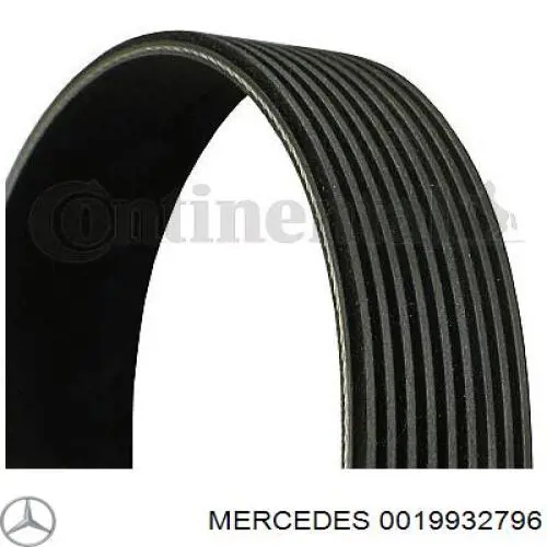 0019932796 Mercedes correia dos conjuntos de transmissão