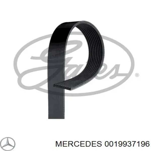 Ремень генератора 0019937196 Mercedes