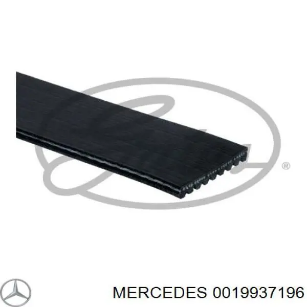 Клиновый ремень Mercedes 0019937196 цена, от 24.95 USD