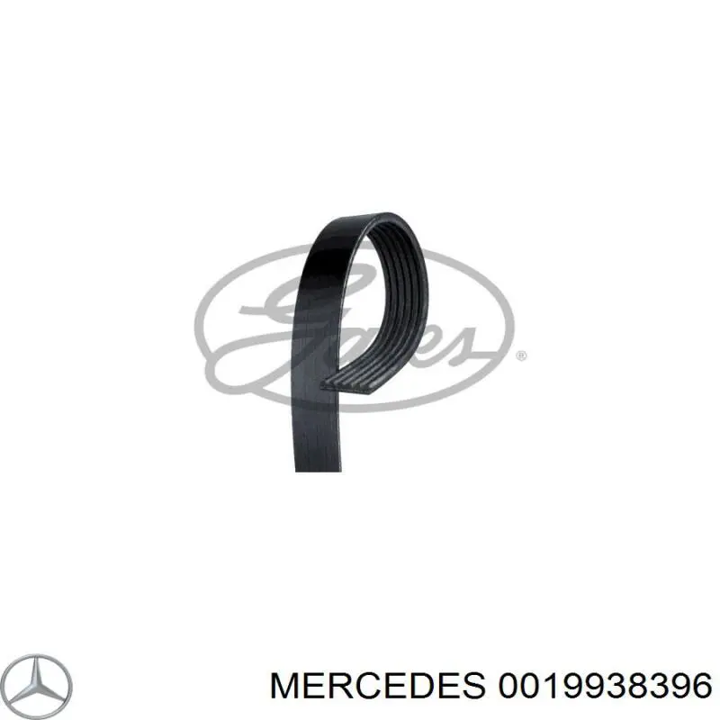 Купить 0019938396 Mercedes Ремень генератора