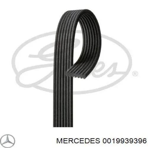 Ремень генератора 0019939396 Mercedes