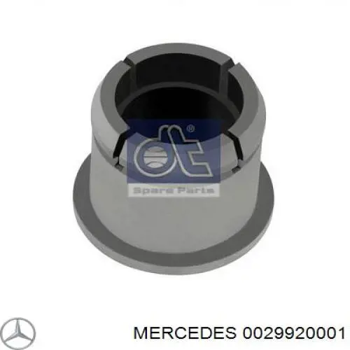  0029920001 Mercedes