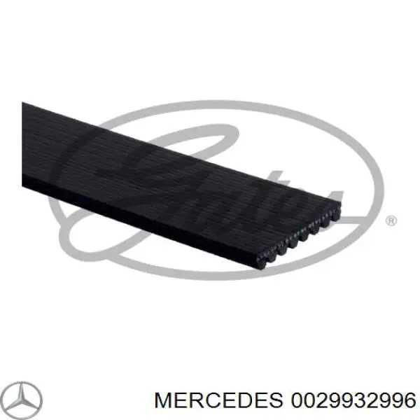 0029932996 Mercedes Поликлиновый ремень