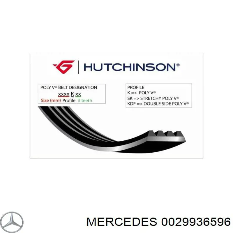 Купить 119972992 Mercedes Ремень генератора