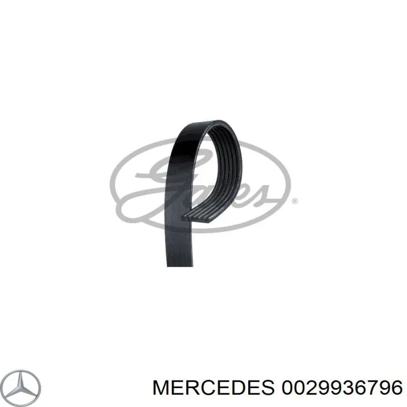 0029936796 Mercedes ремень генератора