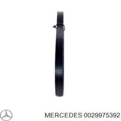 0029975392 Mercedes ремень генератора