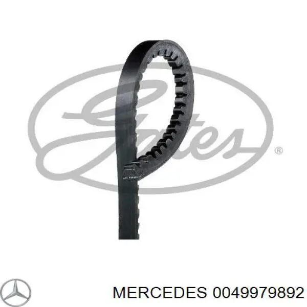 Клиновый ремень Mercedes 0049979892 цена, от 4.22 USD