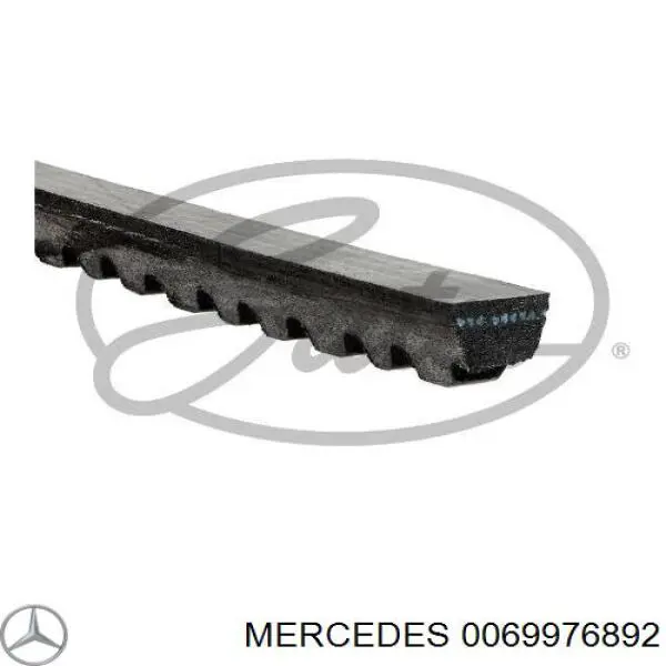 0069976892 Mercedes correia dos conjuntos de transmissão