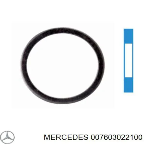 Прокладка натяжителя цепи ГРМ 007603022100 Mercedes